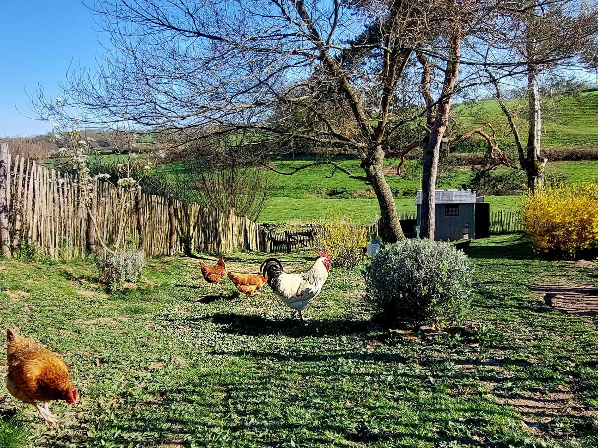Maison Du Grand Moulin Saint-Aubin-en-Charollais Eksteriør bilde