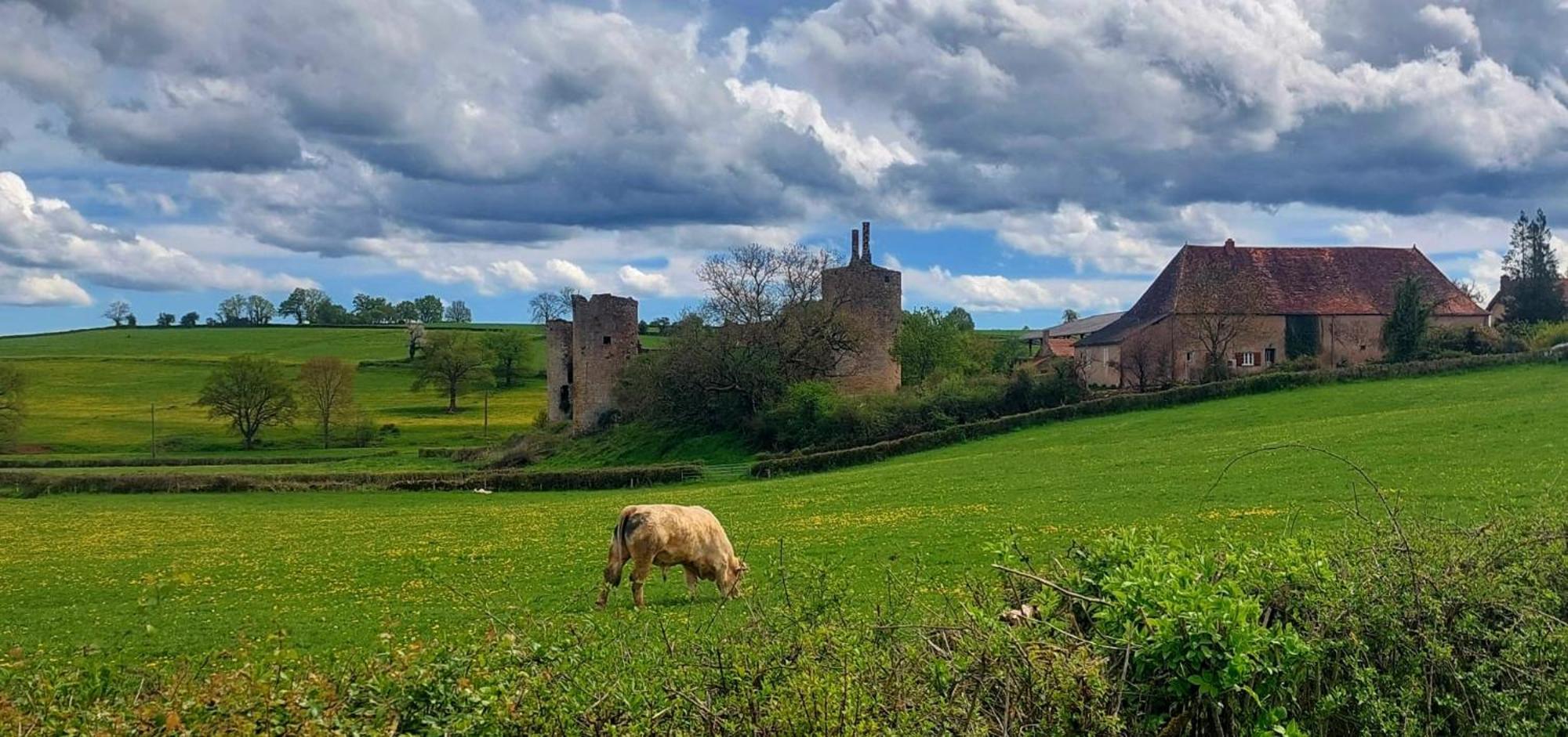 Maison Du Grand Moulin Saint-Aubin-en-Charollais Eksteriør bilde